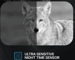 Best Night Vision Scopes for Predator Hunting