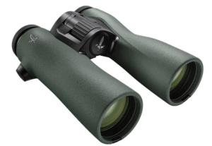 best binoculars for bird watching