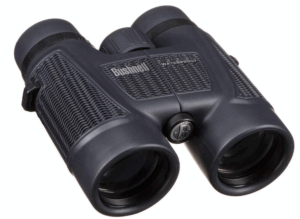 best budget binoculars for bird watching