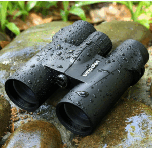 best budget binoculars for bird watching