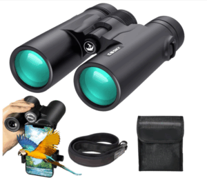 best budget binoculars for bird watching
