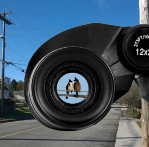 best budget binoculars for bird watching