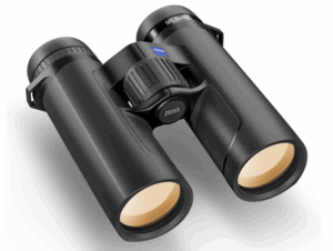 best binoculars for bird watching