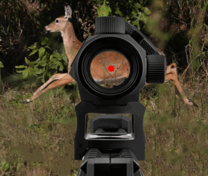 Best Red Dot Optic for Rifle
