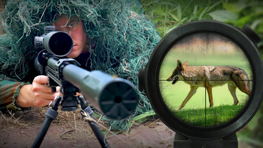 Best NightForce Scopes for Coyote Hunting