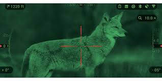 Night Vision Scope for Predator Hunting