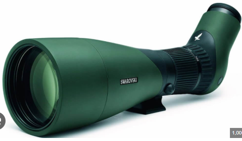 Best Spotting Scopes for Bird Watching