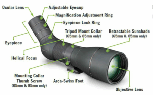 Best Spotting Scopes for Bird Watching