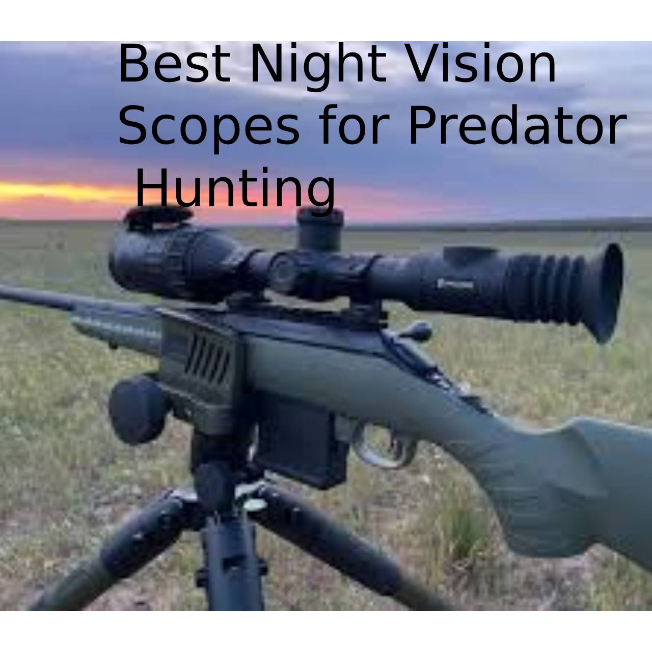 6 Best Night Vision Scopes for Predator Hunting