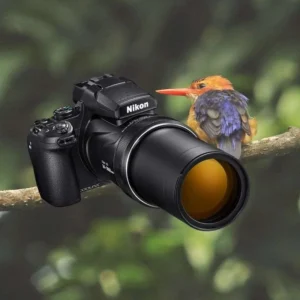 Best Superzoom Camera for Safari
