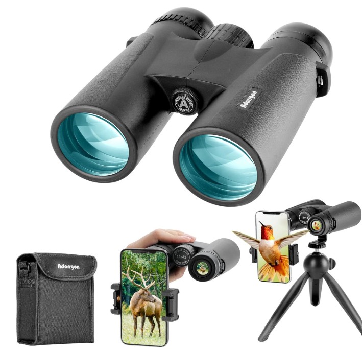 Best Magnification Binoculars for Bird Watching