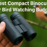 6 Best Compact Binoculars for Bird Watching Budget
