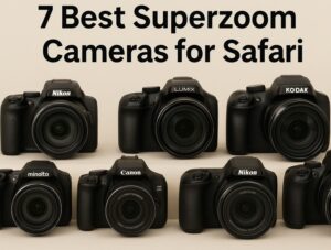 7 Best Superzoom Camera for Safari