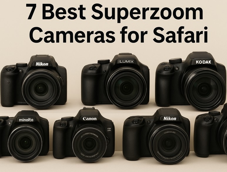 7 Best Superzoom Camera for Safari