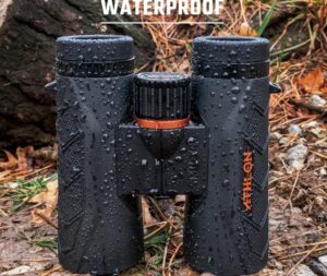 Best Magnification Binoculars for Bird Watching