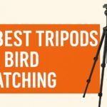 Best Tripod for Bird Watching