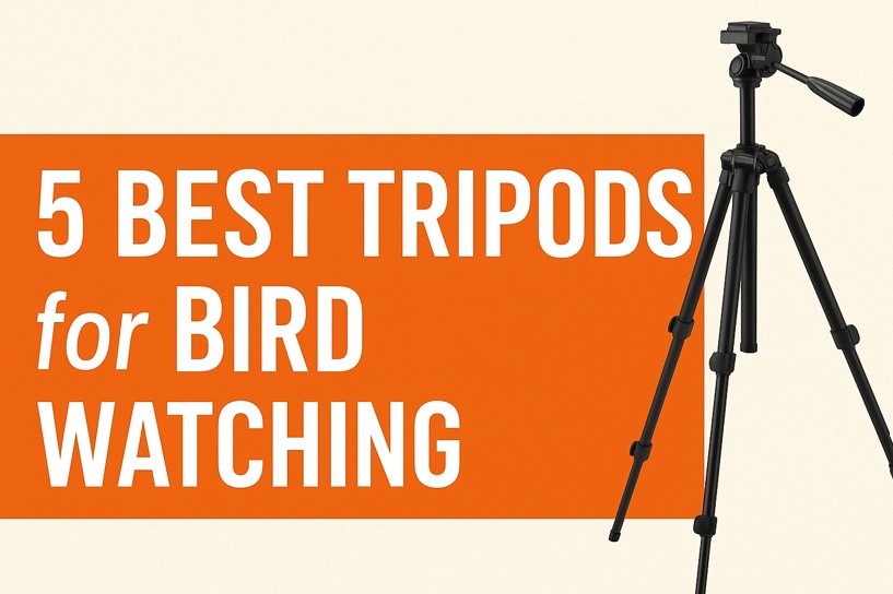 Best Tripod for Bird Watching
