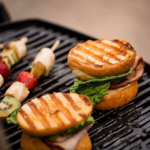 Weber Q1200 Portable Gas Grill