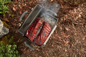 Weber Go-Anywhere Charcoal BBQ
