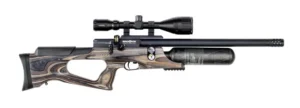 Best Air Guns for Hunting