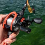 5 Best Fishing Reels