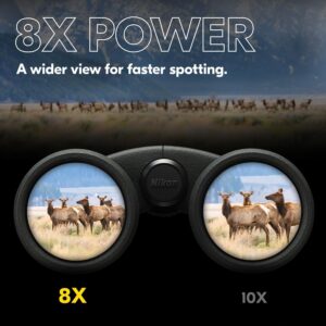 Vortex Diamondback HD 8x42