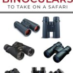 6 Best Binoculars for African Safari