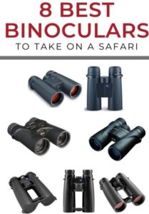 6 Best Binoculars for African Safari