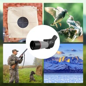 6 Best Budget Spotting Scopes for Target Shooting
