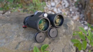 Best Binoculars For Wildlife Viewing
