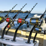 5 Best Fishing Rod