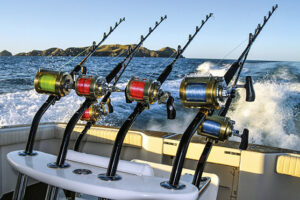 5 Best Fishing Rod