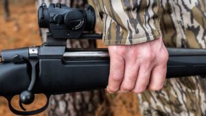 5 Best Red Dot For Muzzleloader