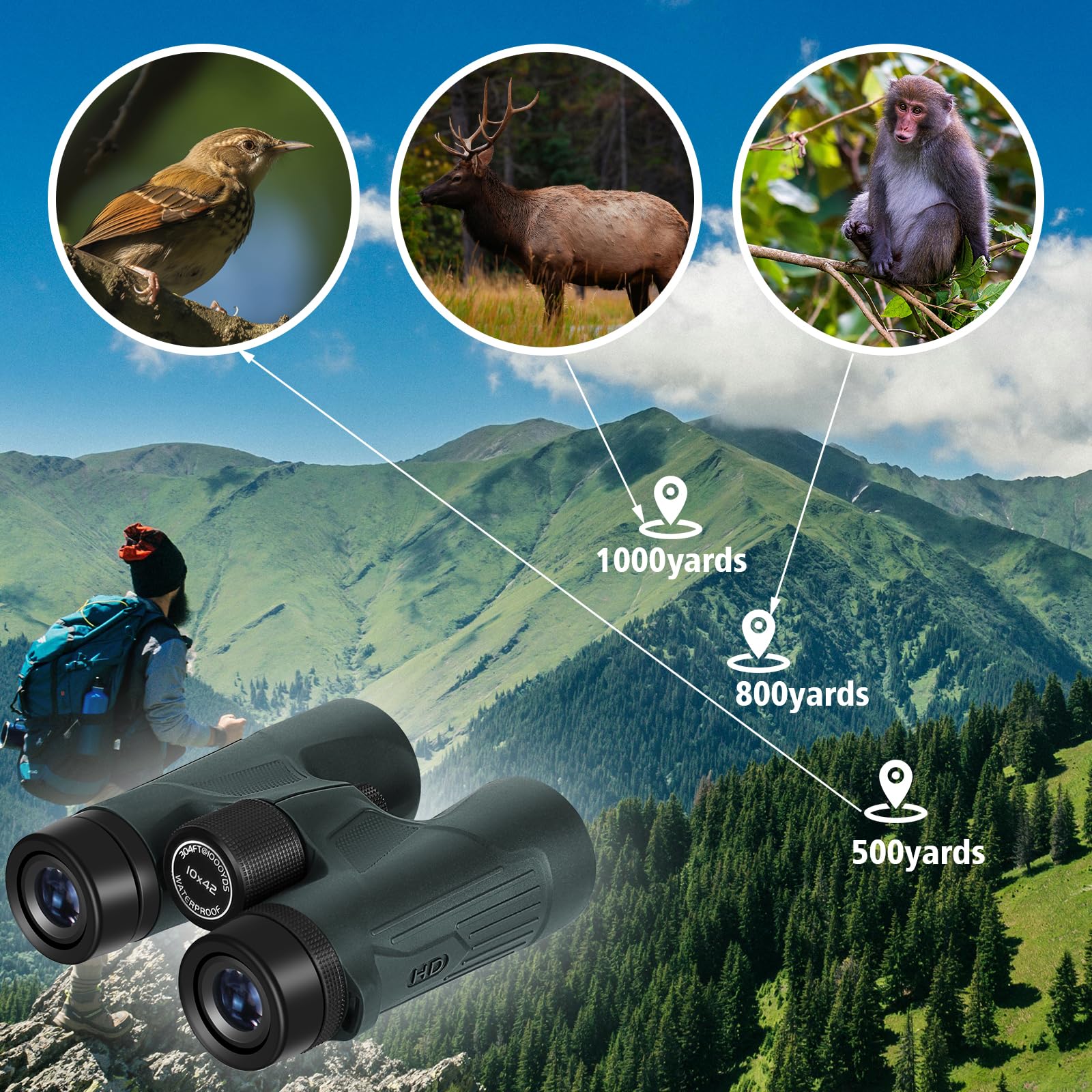 8 Best Binoculars For Wildlife Viewing