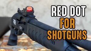 6 Best Holosun for Shotgun