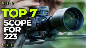 7 Best Scopes for 223