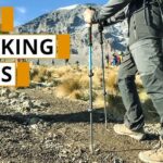7 Best Trekking Poles