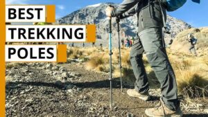 7 Best Trekking Poles