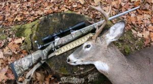 7 Best Rifle Scopes for Hunting