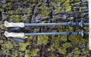 6 Best Lightweight Hiking Poles
