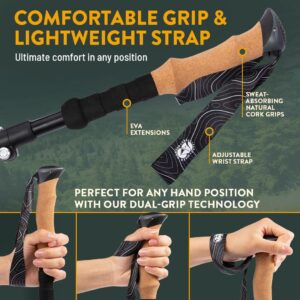 6 Best Lightweight Hiking Poles