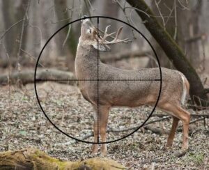 Best Vortex Scope for 308 Hunting