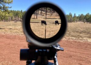 Vortex Optics Razor HD Gen II First Focal Plane Riflescopes Horus H59 (MRAD)