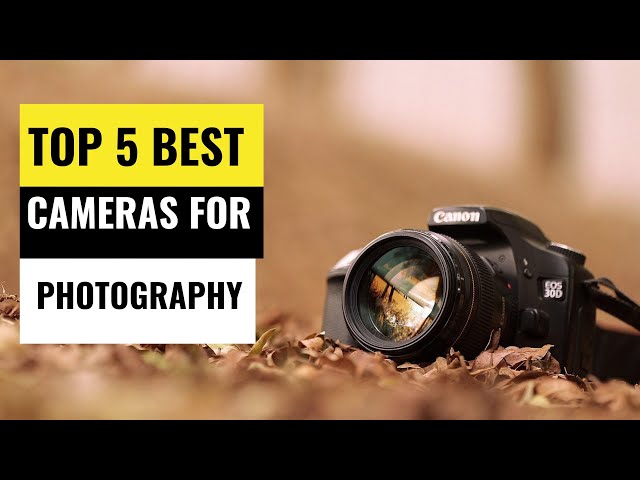 7 Best Cameras for Photography​