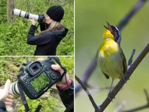 Best Wildlife Photography Cameras