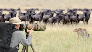 Best Wildlife Photography Cameras