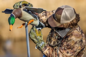 6 Best Gloves for Duck Hunting