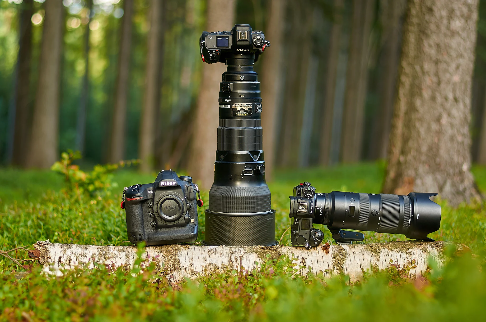 8 Best Wildlife Photography Cameras