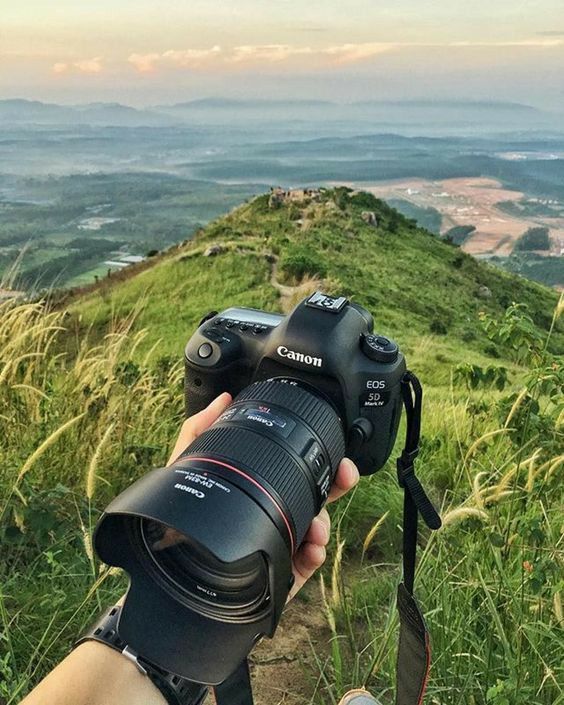 Best Camera for Wildlife