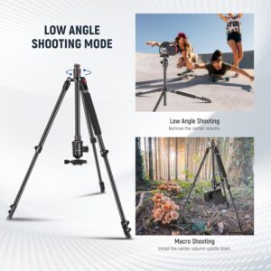 NEEWER 77 inch Camera Tripod Monopod for DSLR, Phone with 360° Panoramic Ball Hea